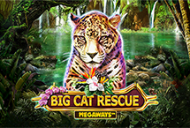 Big Cat Rescue Megaways™